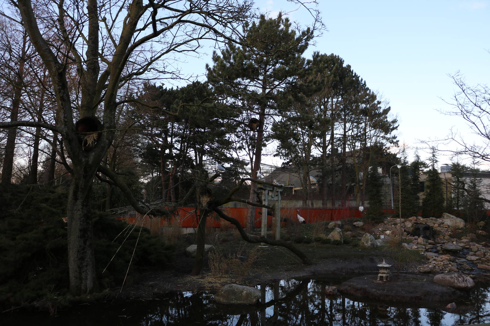 Red Panda enclosure, February 2016