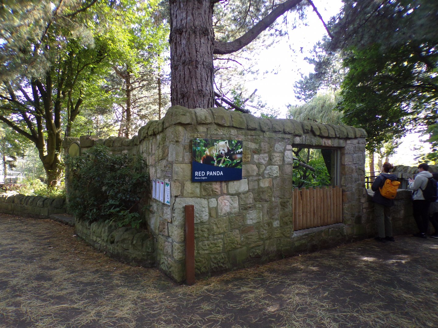 Red panda enclosure (formerly skunk, porcupine and otter) 16.9.24