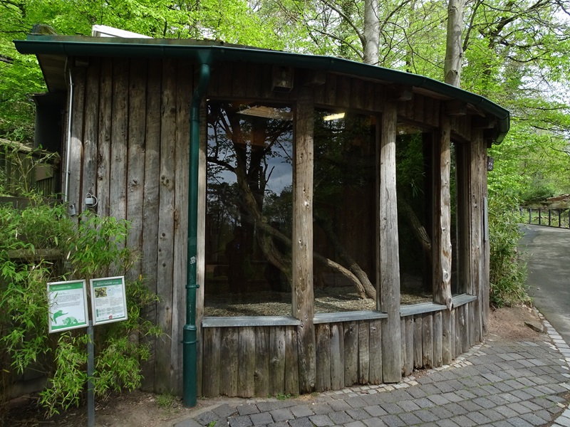 Red panda enclosure (indoor)