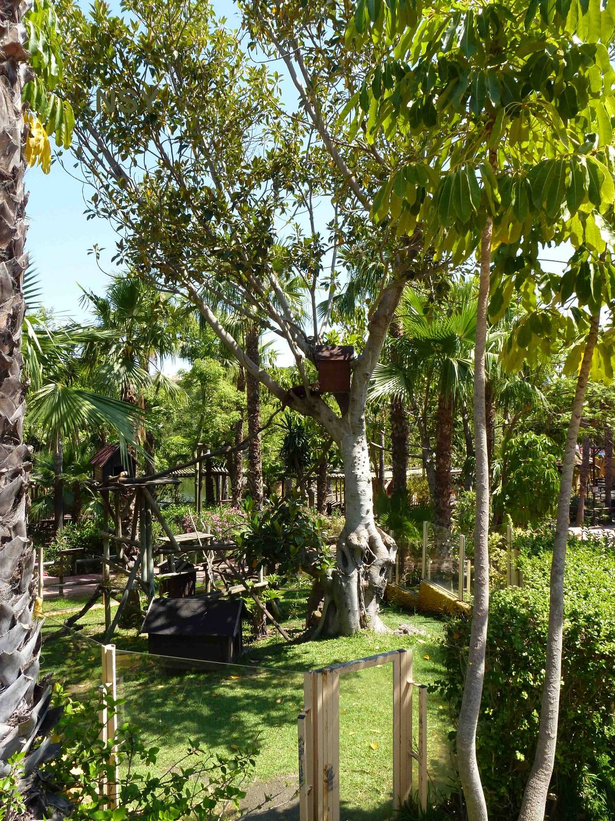 Red panda enclosure, July 2013.