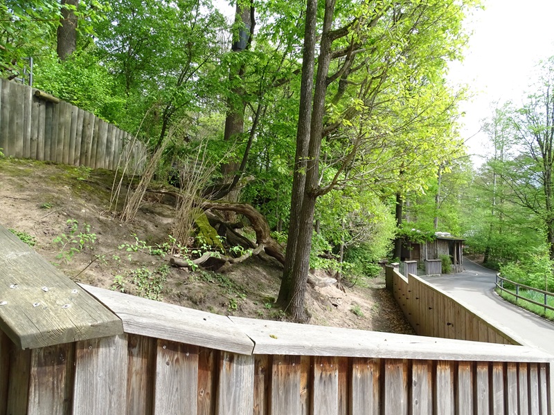 Red panda enclosure (lower view)