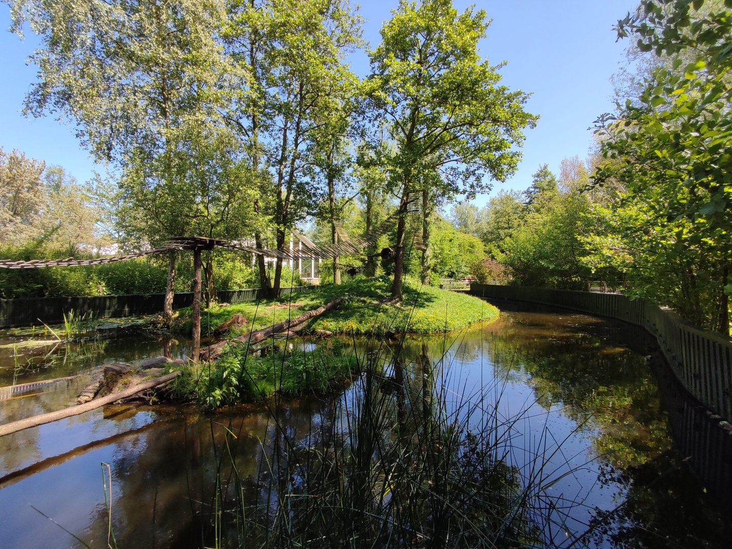 Red panda enclosure - outdoor enclosure