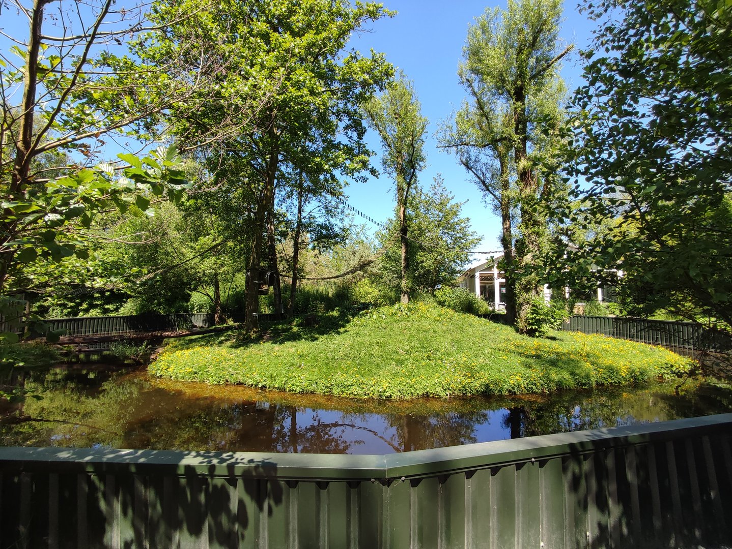 Red panda enclosure - outdoor enclosure