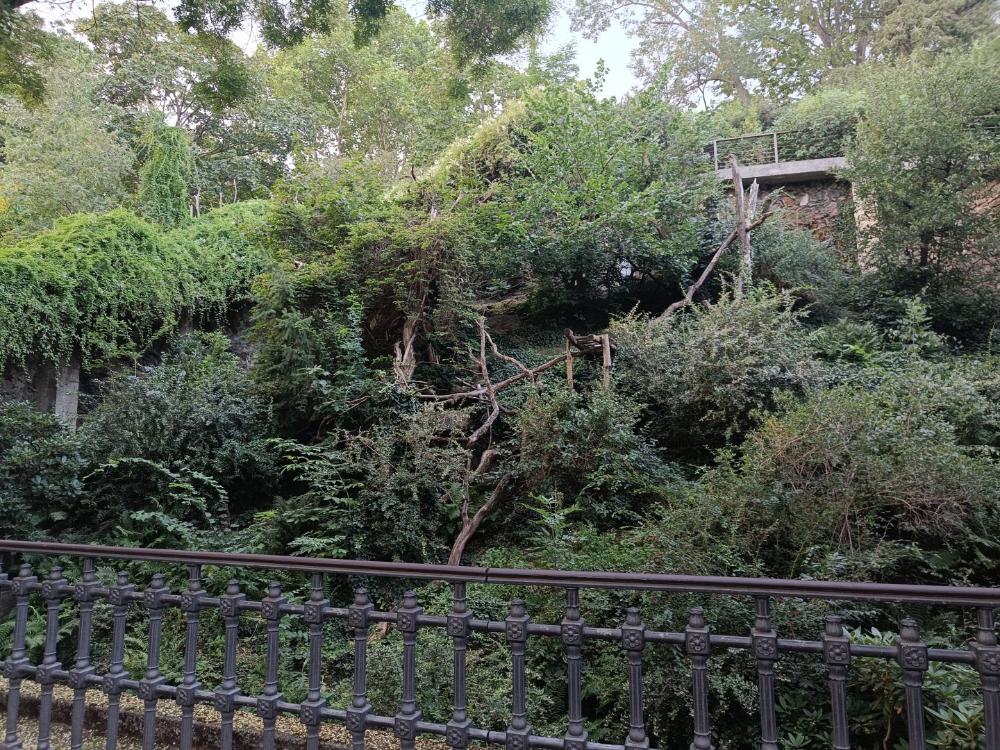 Red Panda enclosure - Rock Outcrop