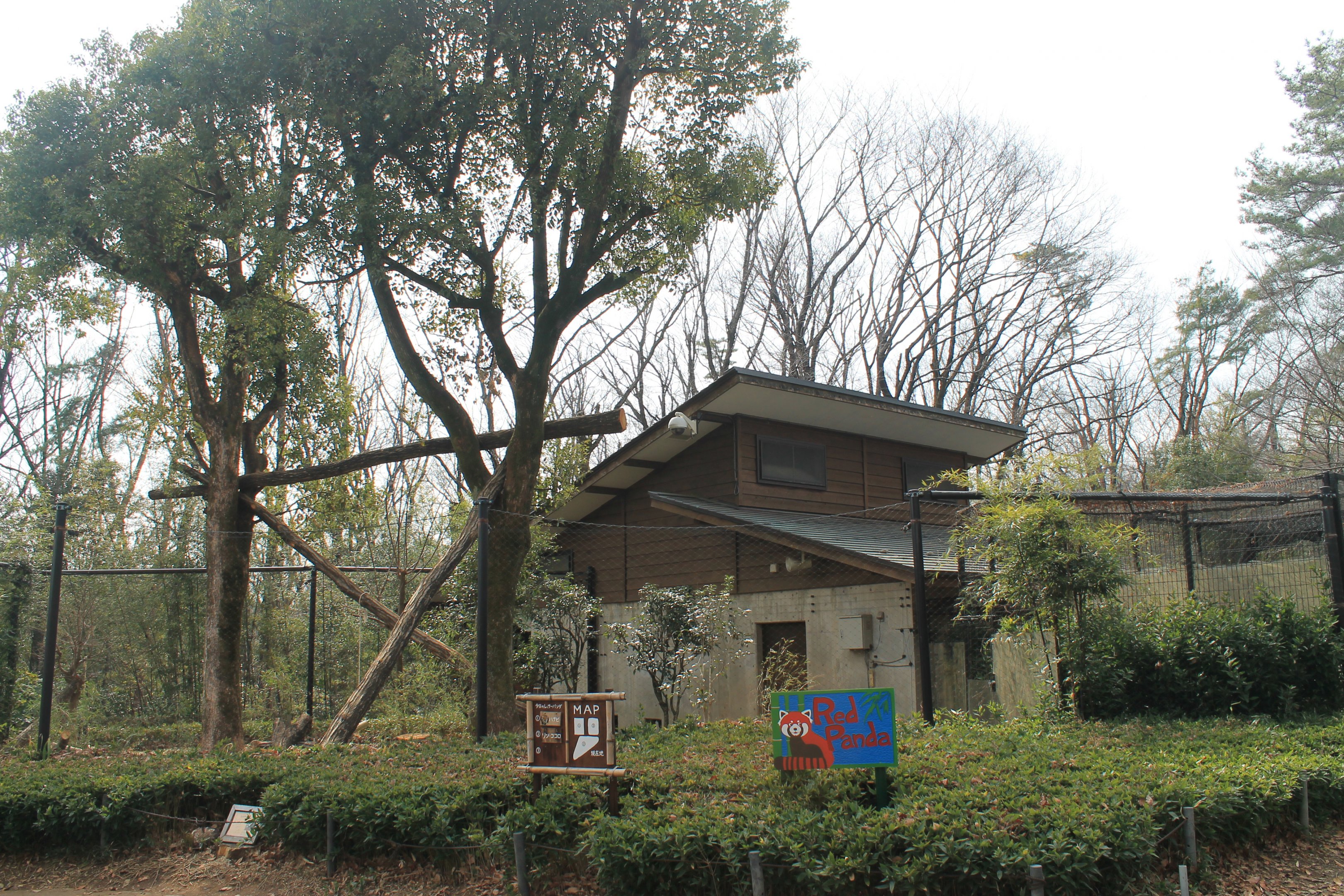 Red Panda enclosure - Saitama Childrens Zoo