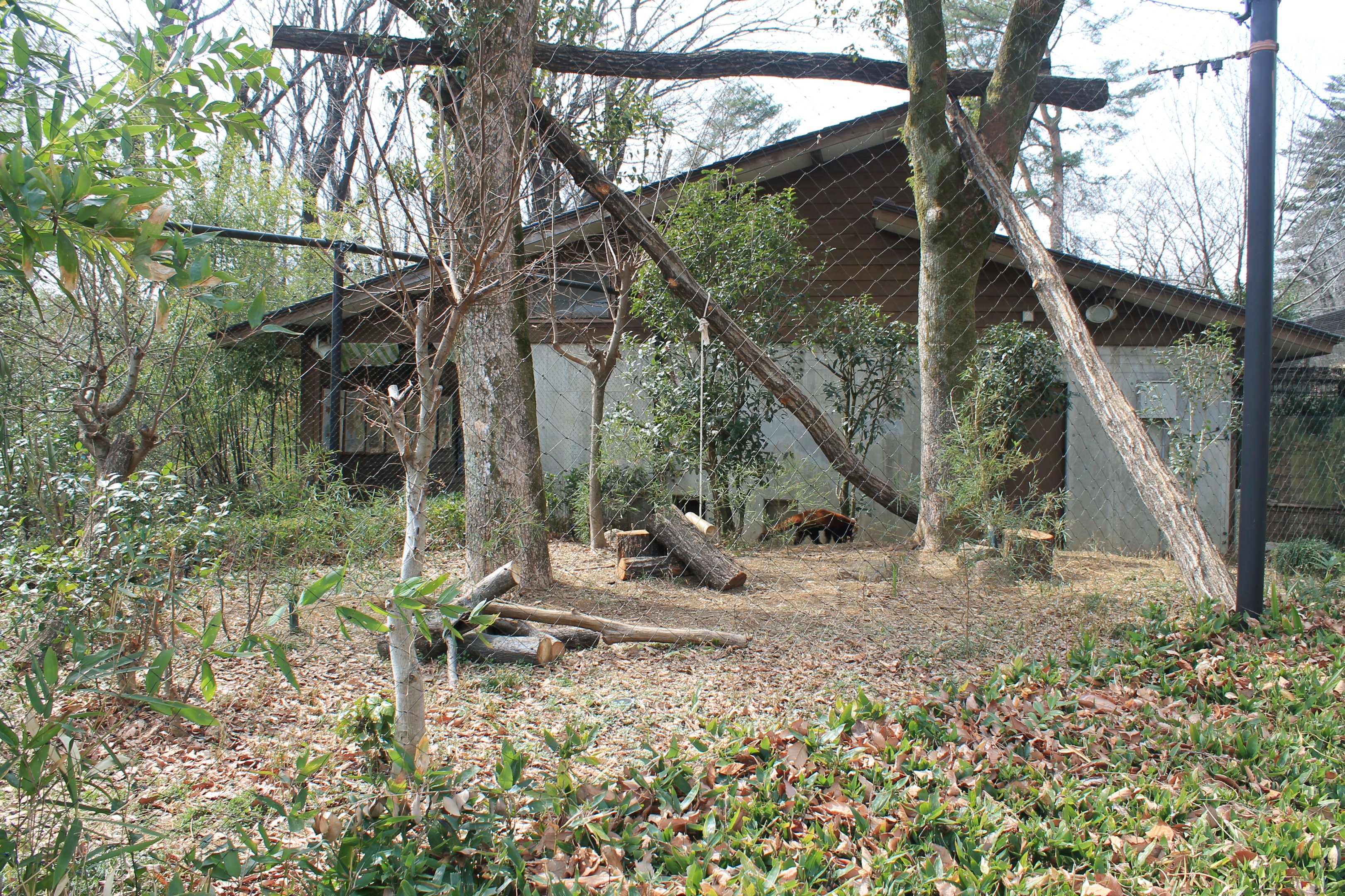 Red Panda enclosure - Saitama Childrens Zoo