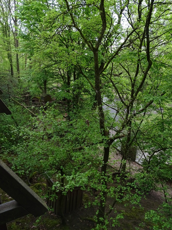 Red panda enclosure (upper view)