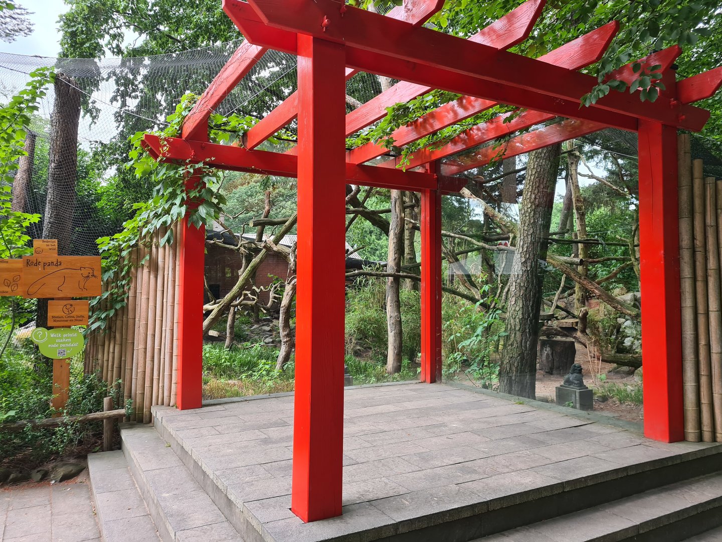 Red panda enclosure viewing