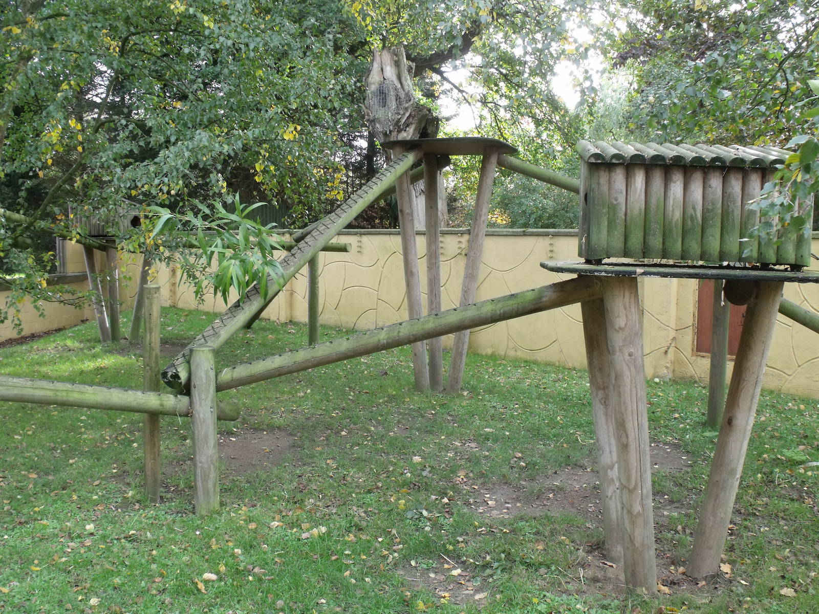 Red Panda Enclosure
