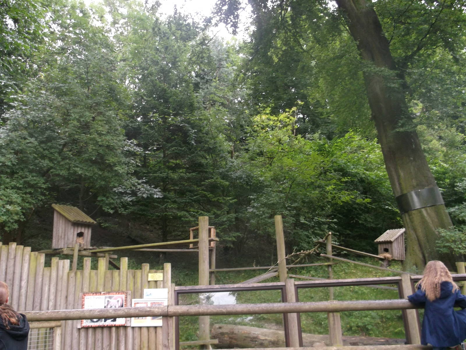 Red Panda Enclosure