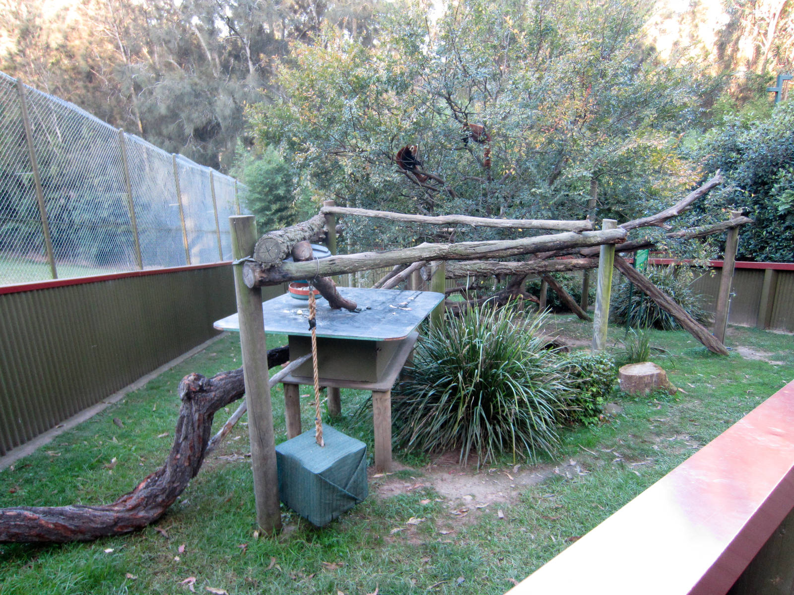Red Panda enclosure