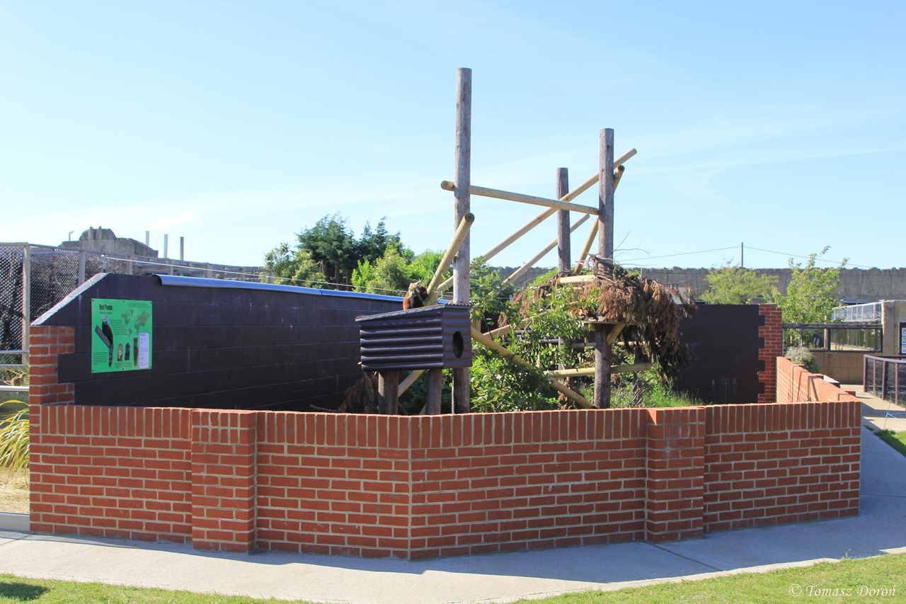 Red Panda enclosure