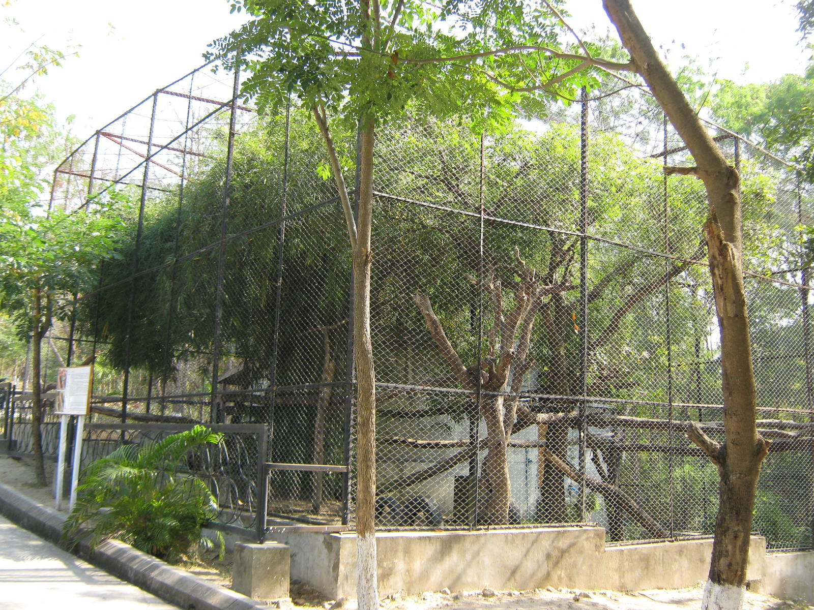 Red Panda enclosure