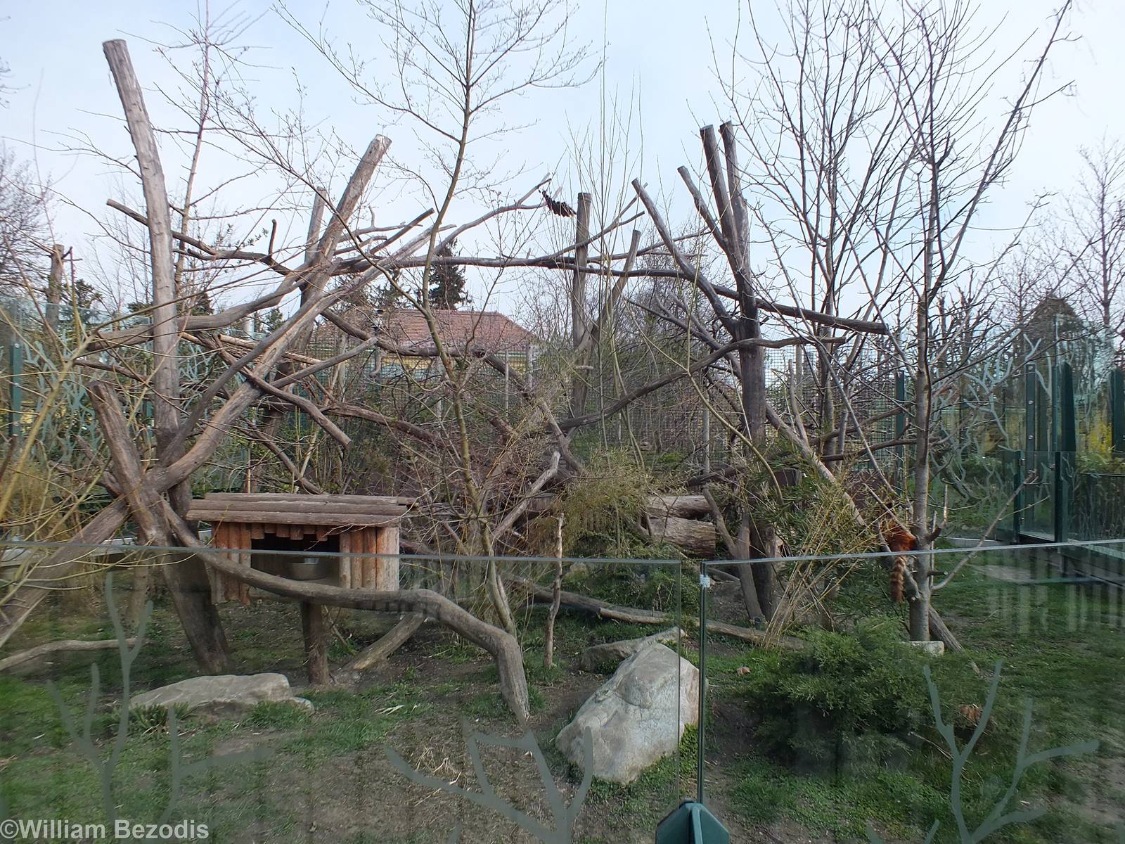 Red Panda Enclosure