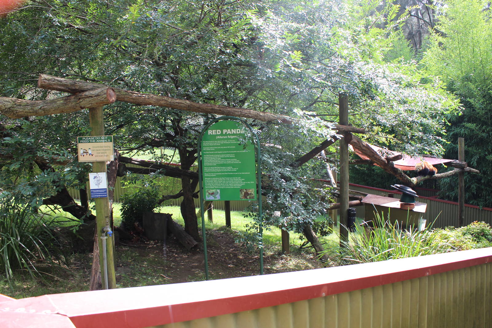 Red Panda enclosure