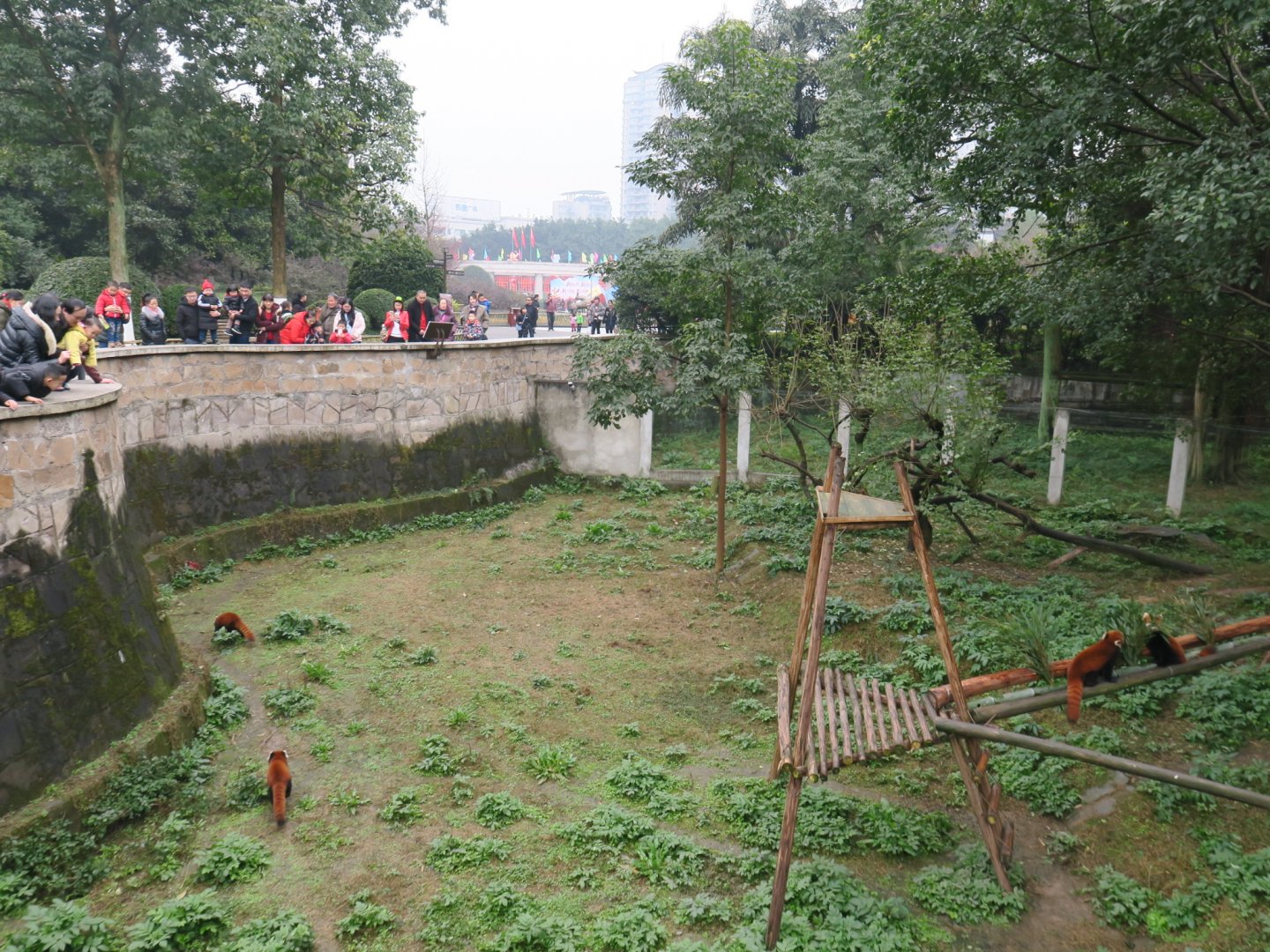 red panda enclosure