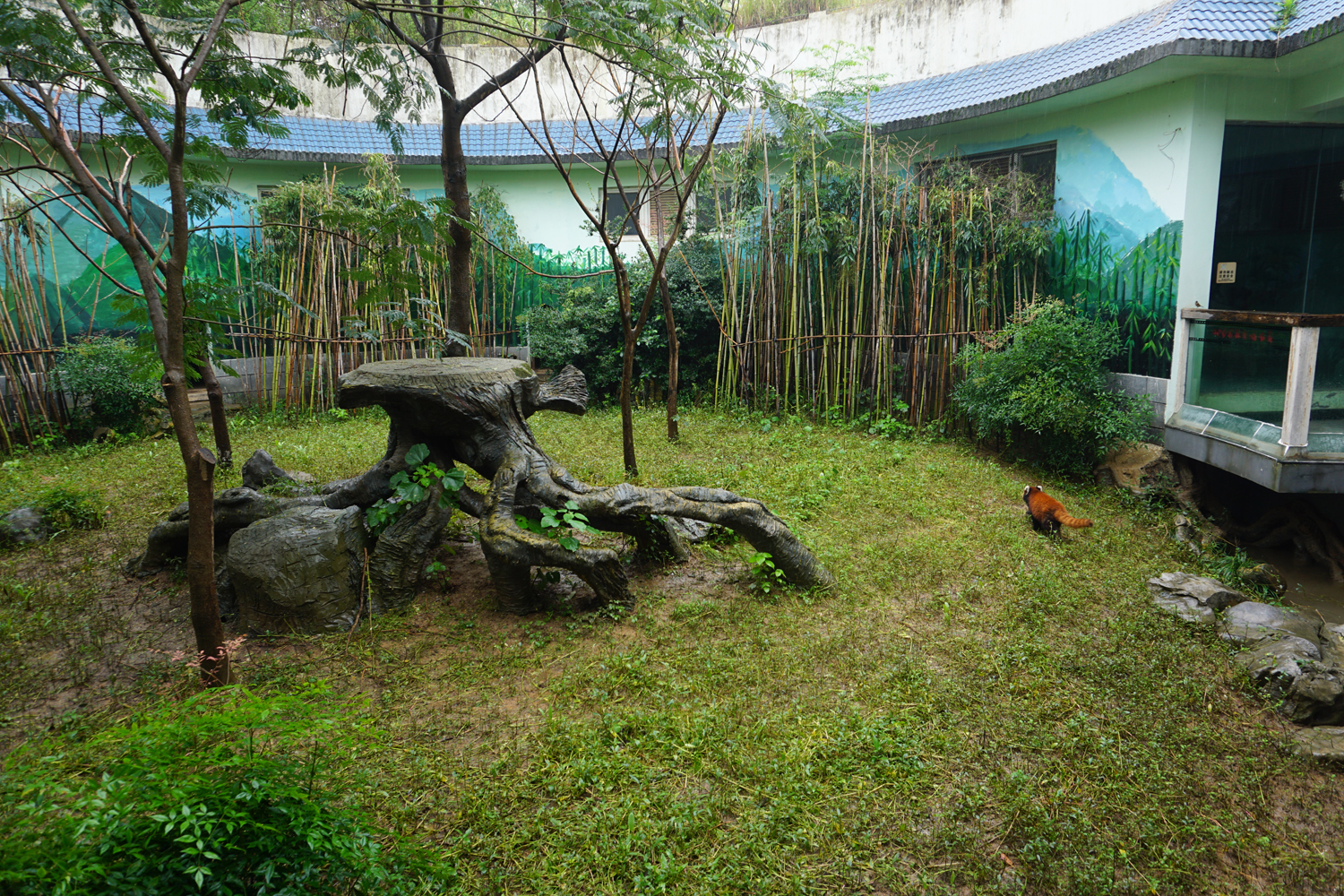 Red panda enclosure