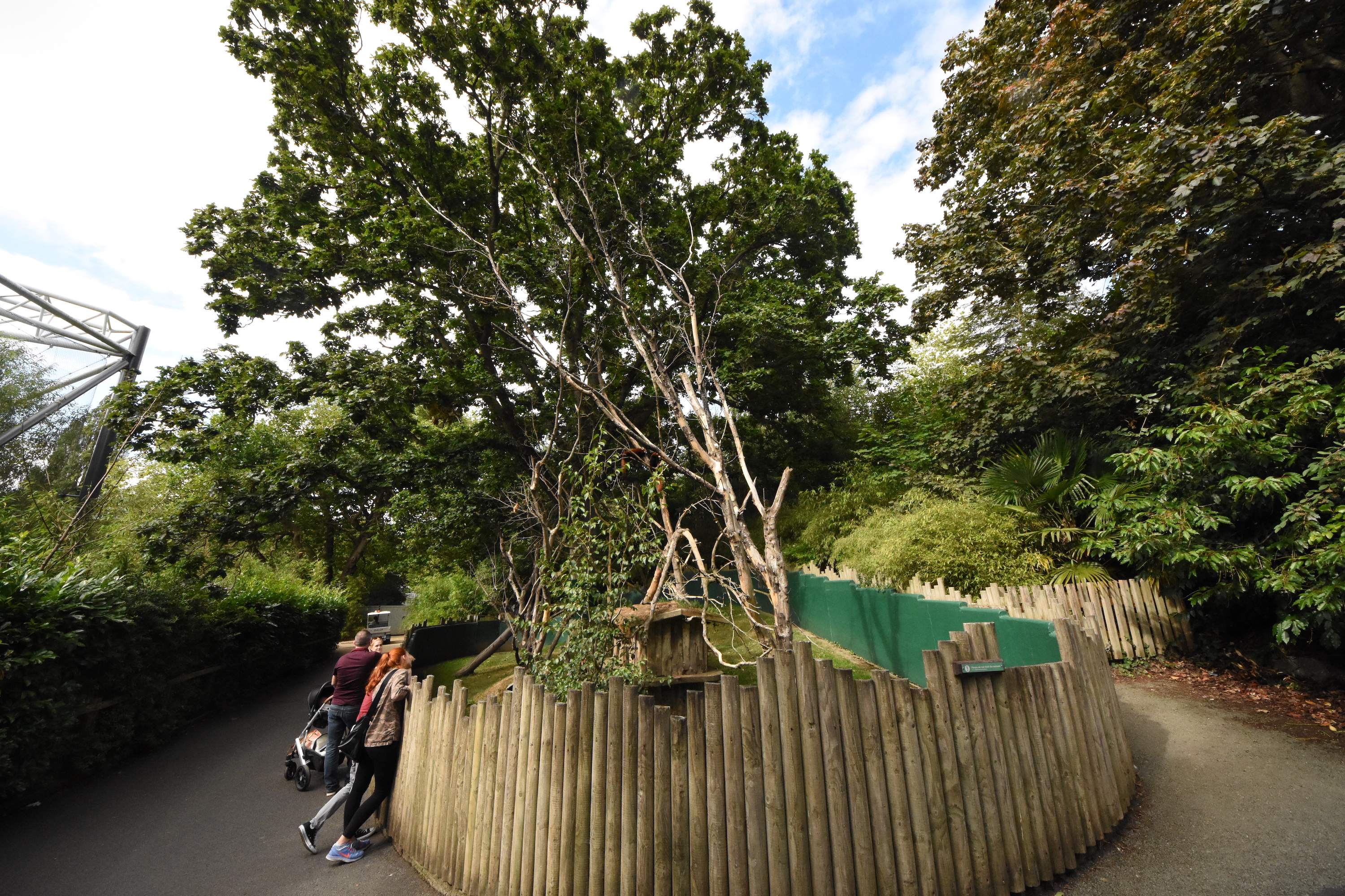 Red panda enclosure
