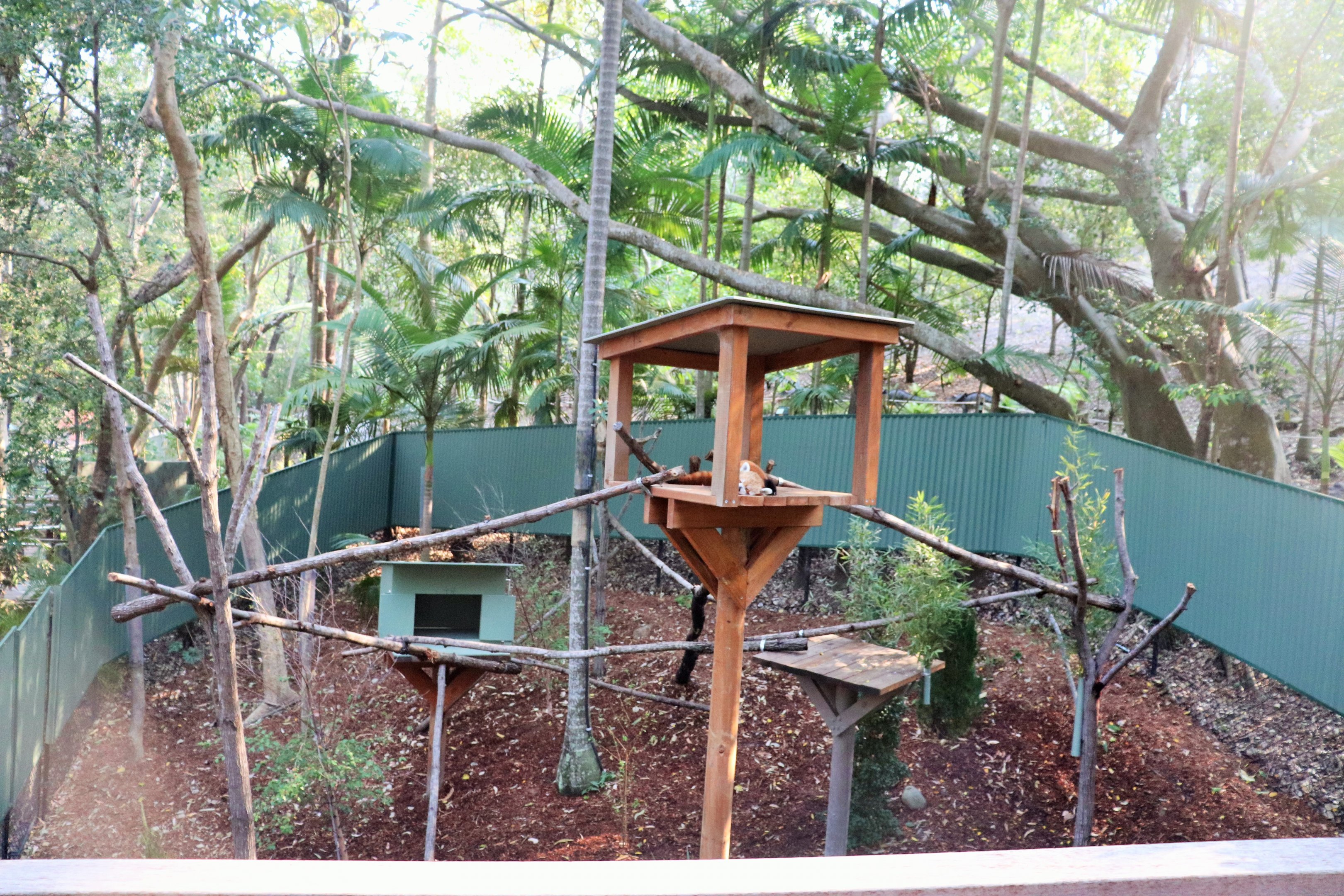 Red Panda Enclosure