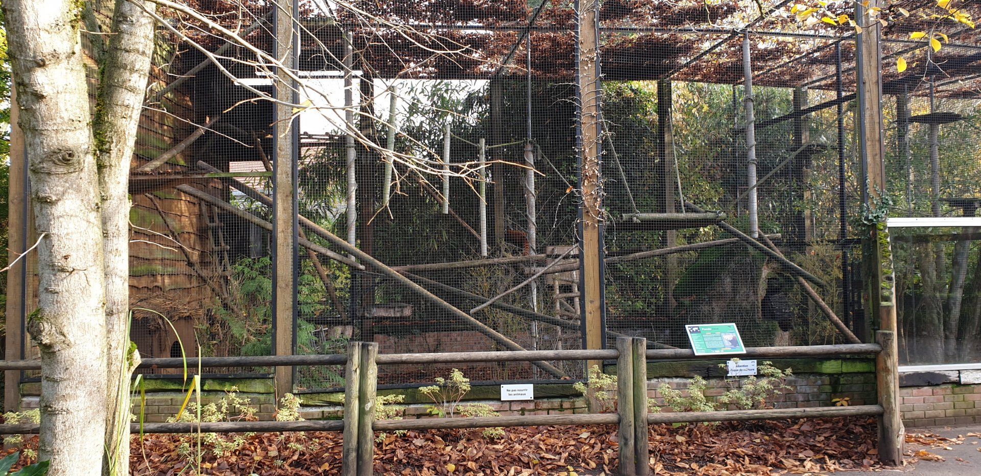Red panda enclosure
