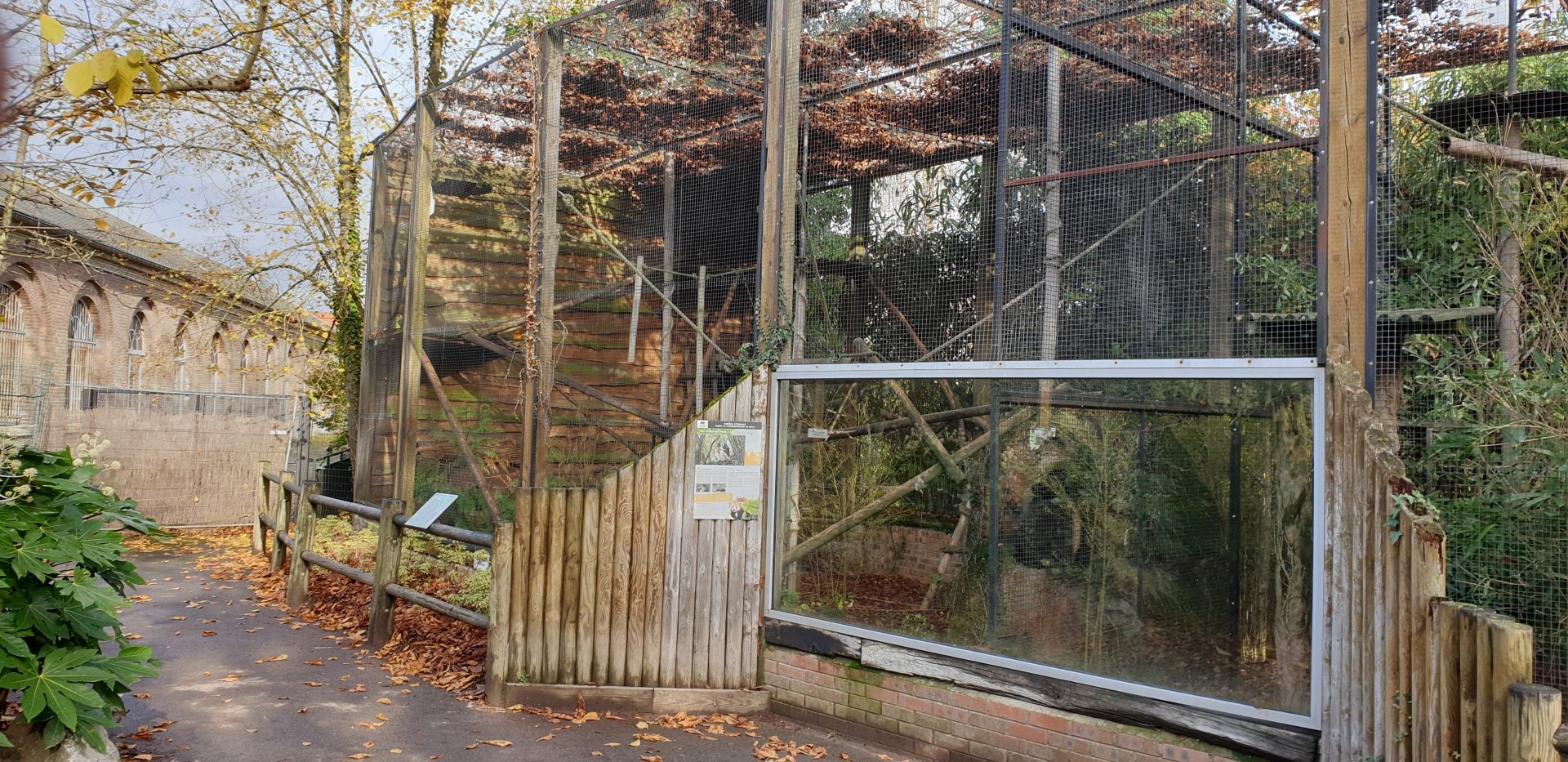 Red panda enclosure
