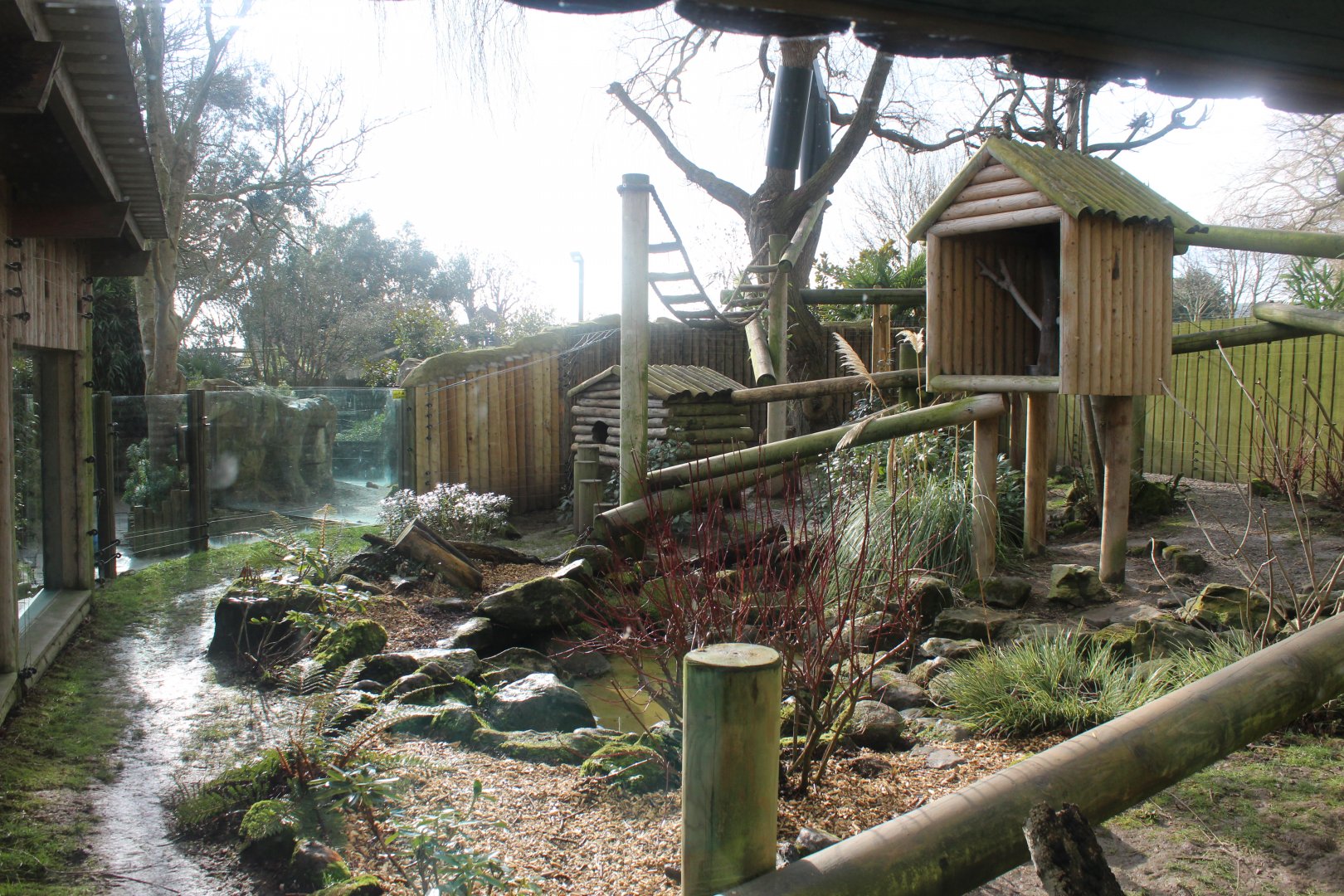 Red Panda enclosure