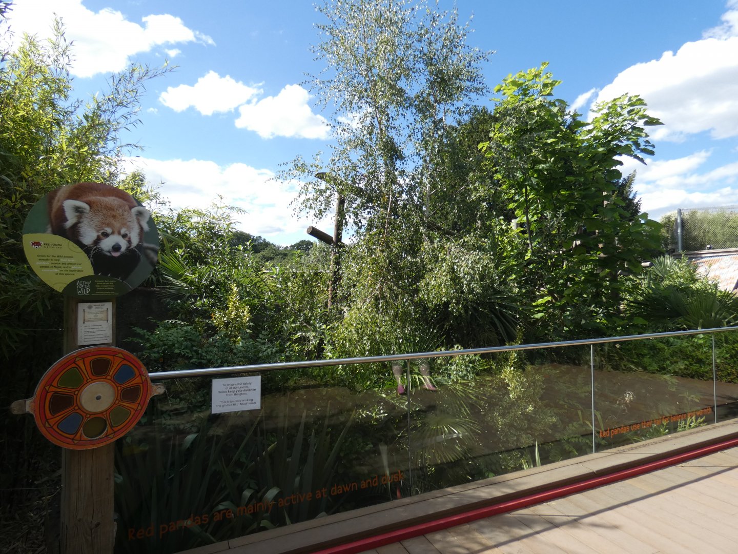 Red Panda enclosure