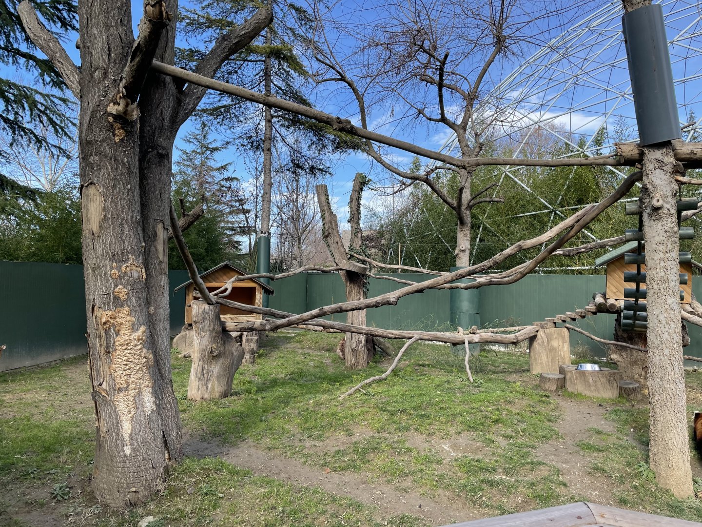 Red panda enclosure