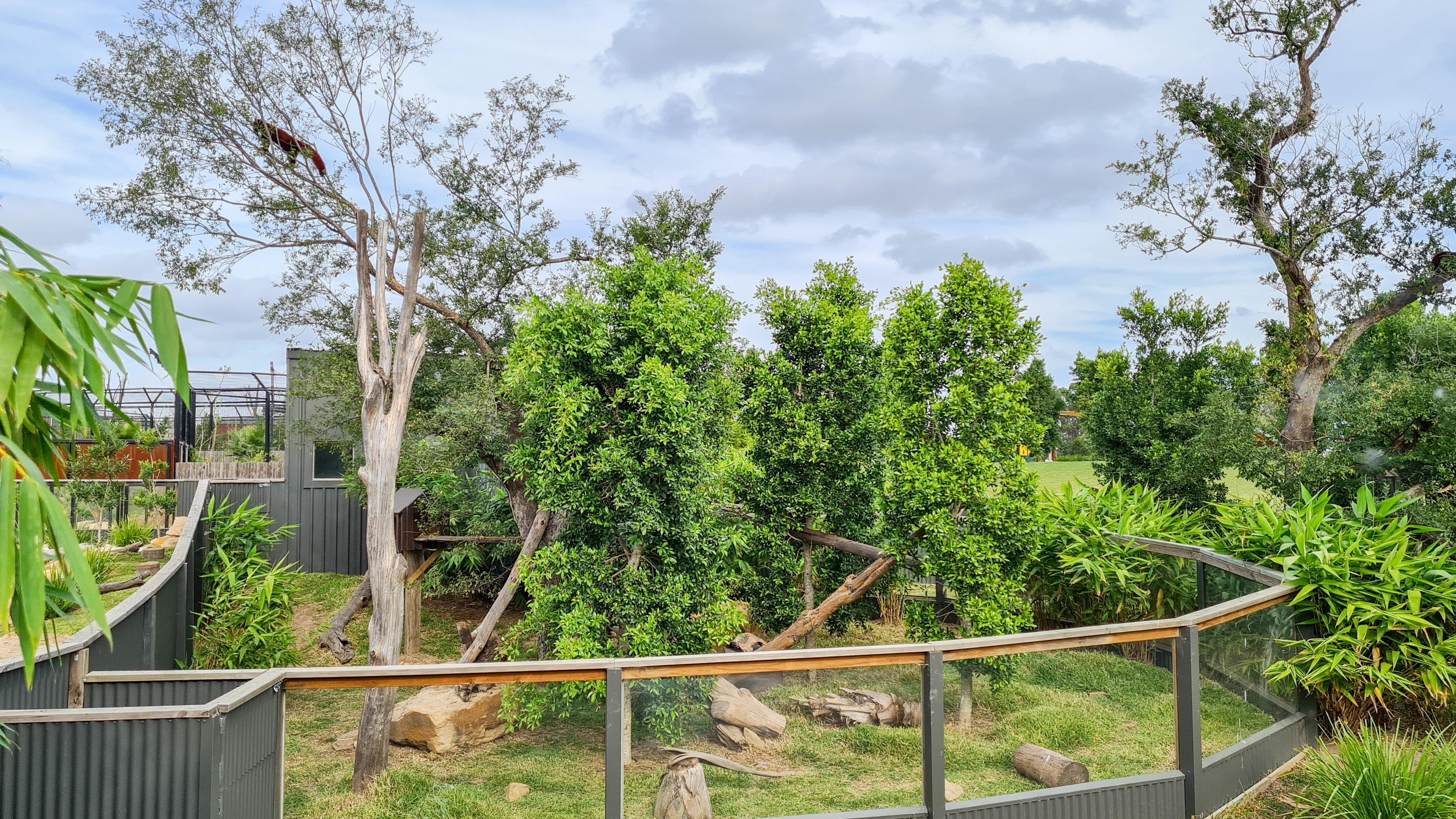 Red panda enclosure