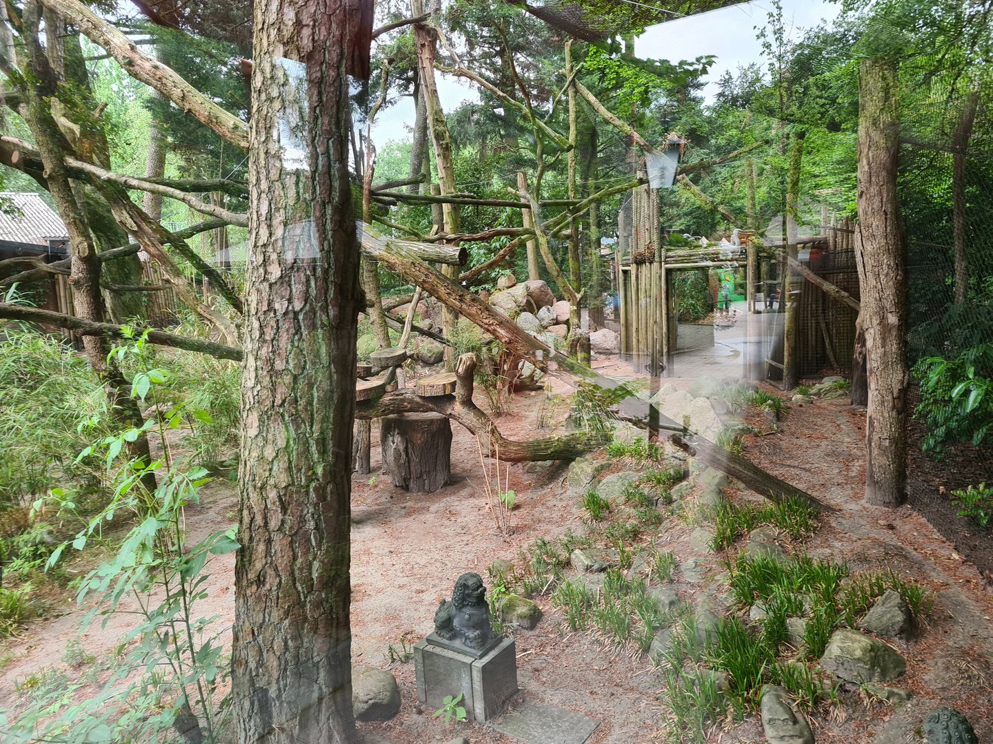 Red panda enclosure