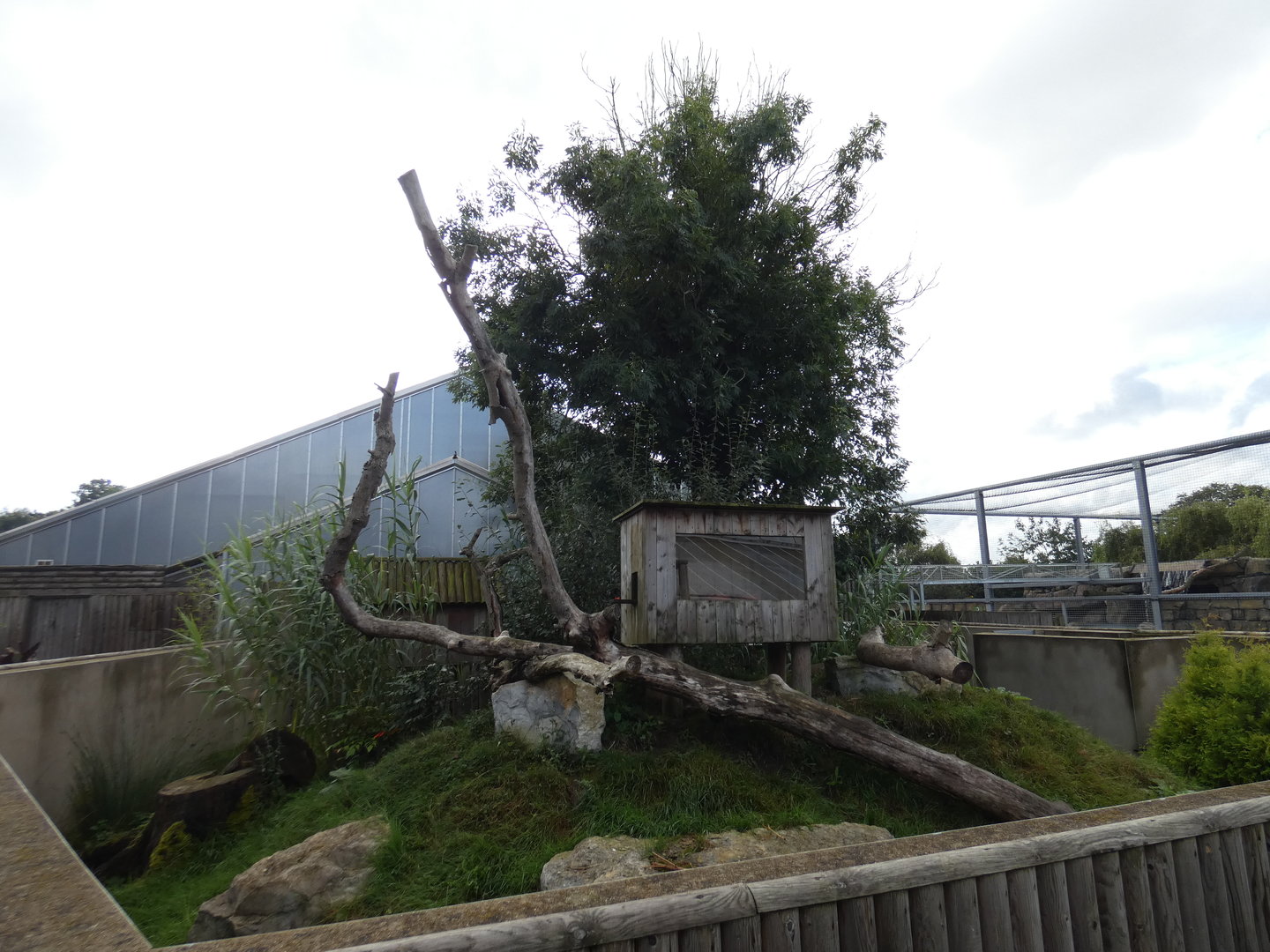 Red panda enclosure