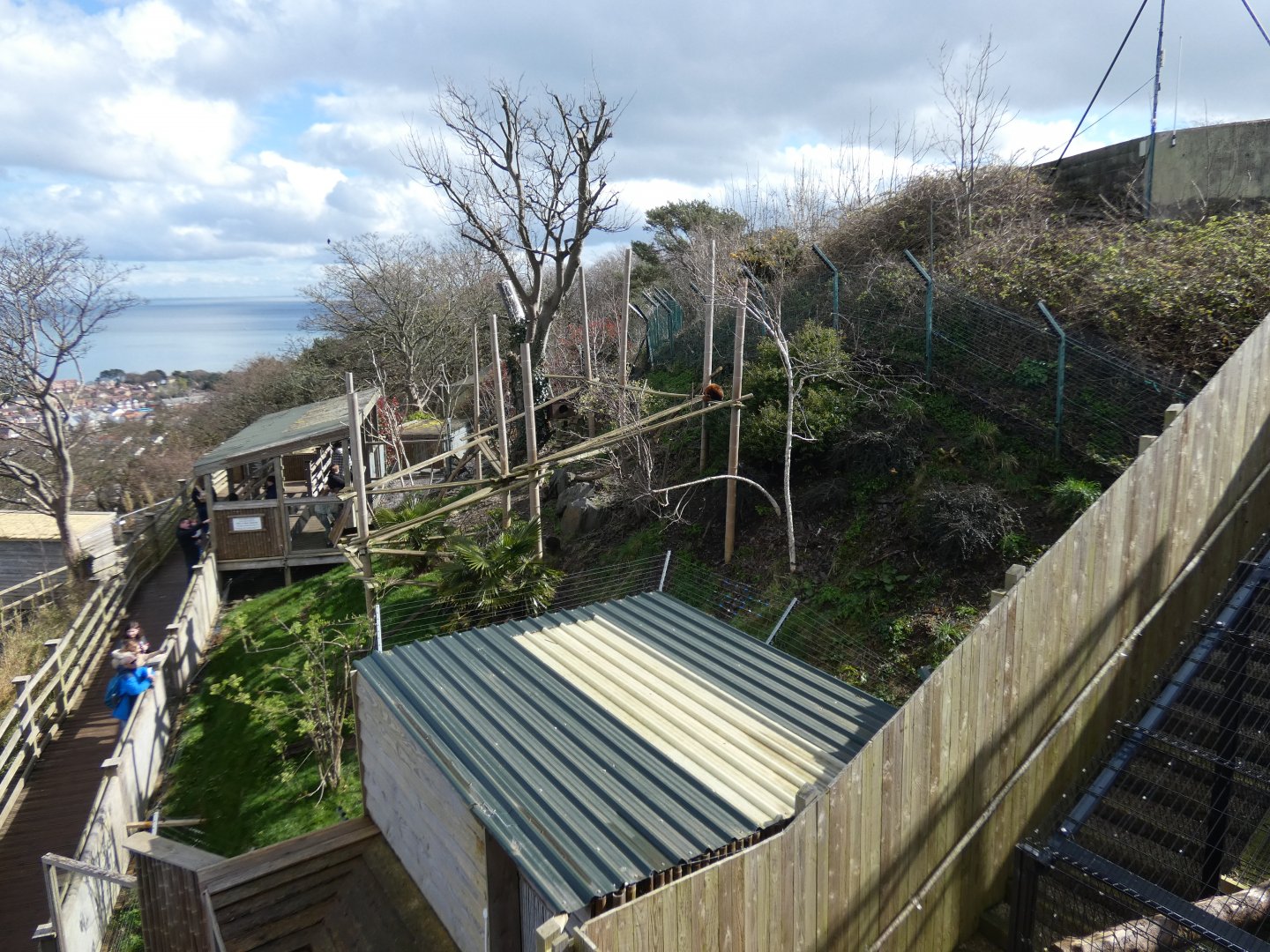 Red panda enclosure