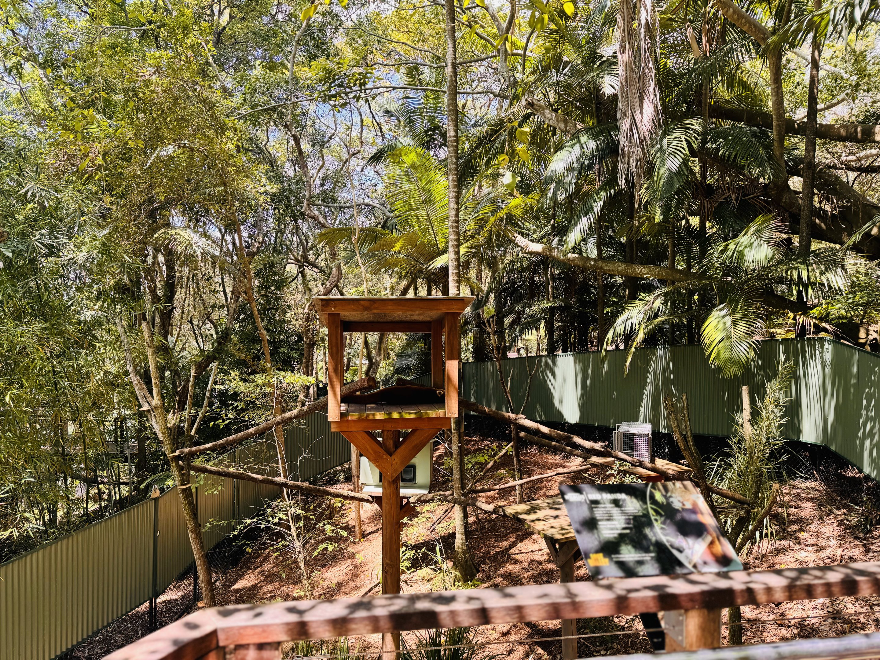 Red panda enclosure