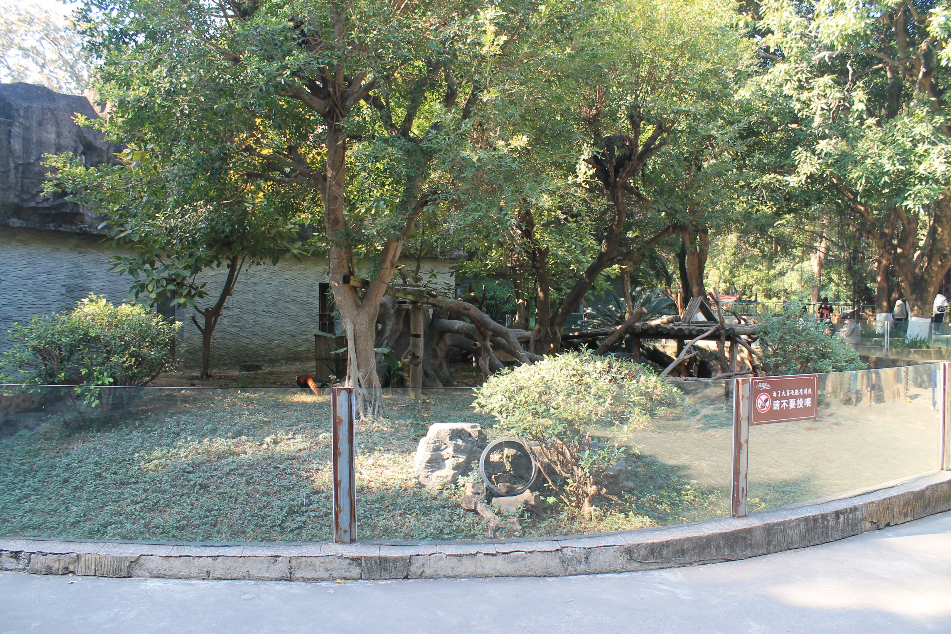 Red Panda enclosure