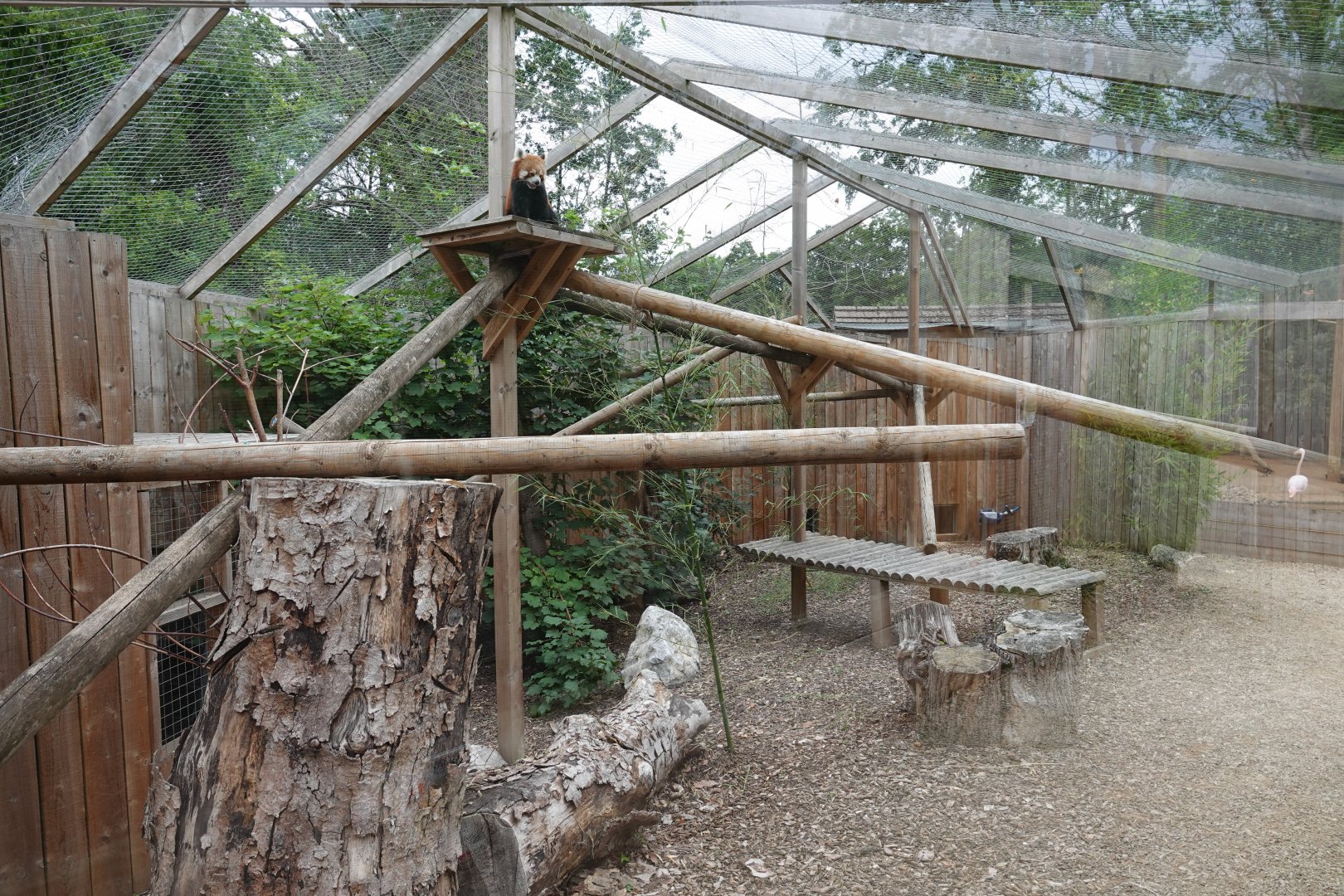 Red panda enclosure