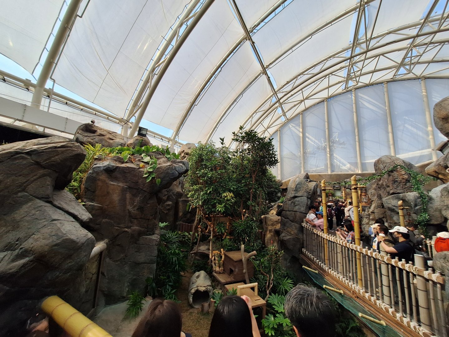 Red Panda Enclosure