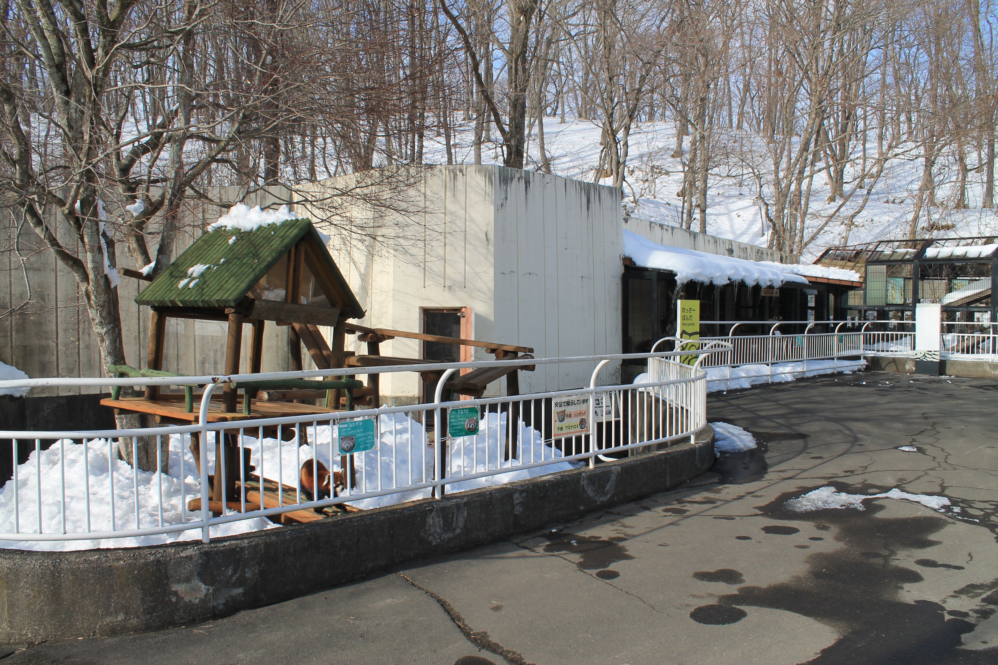 Red Panda enclosures, Kushiro Zoo
