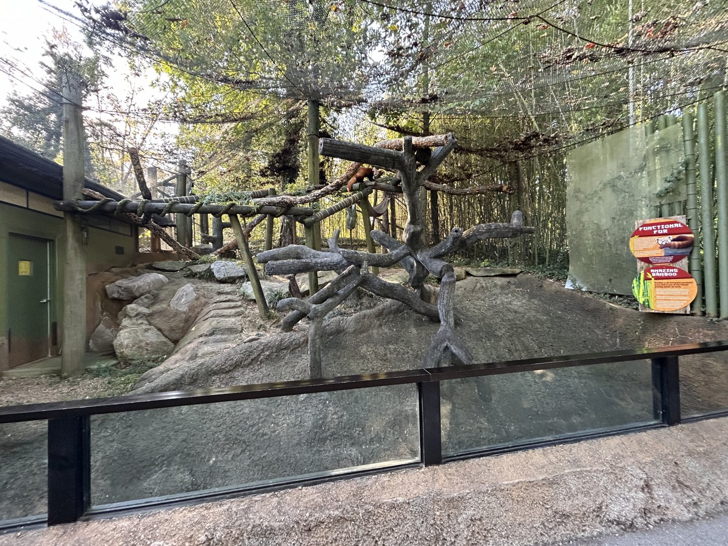 Red Panda Exhibit #1 - Red Panda Village