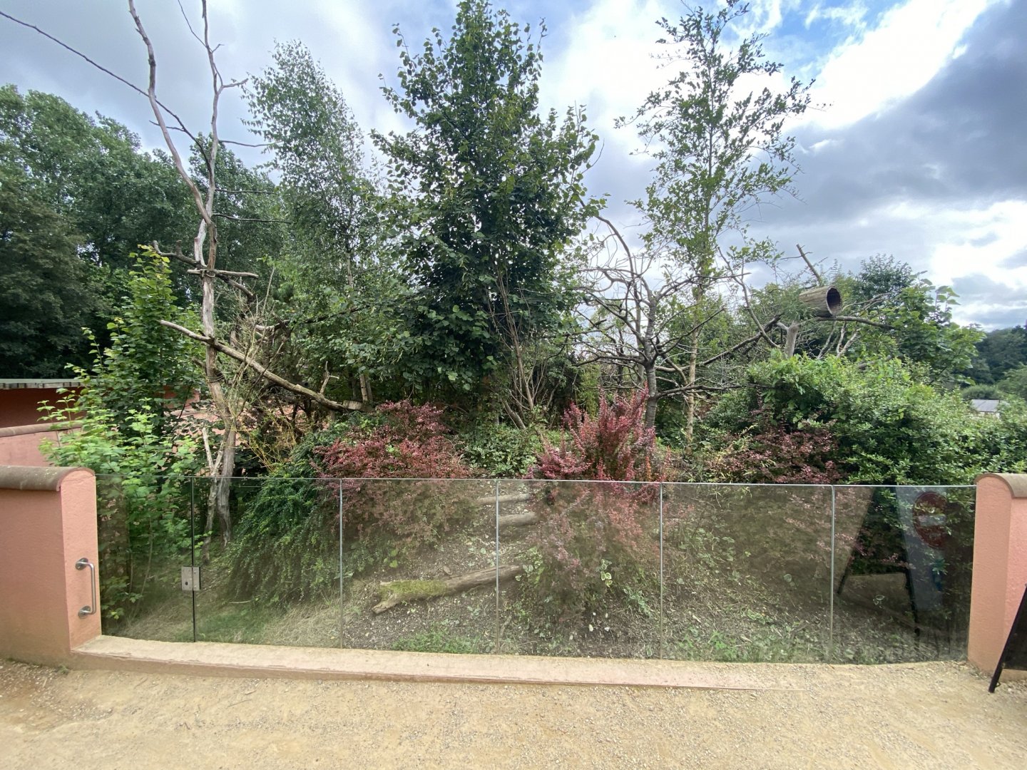 Red panda exhibit 120821