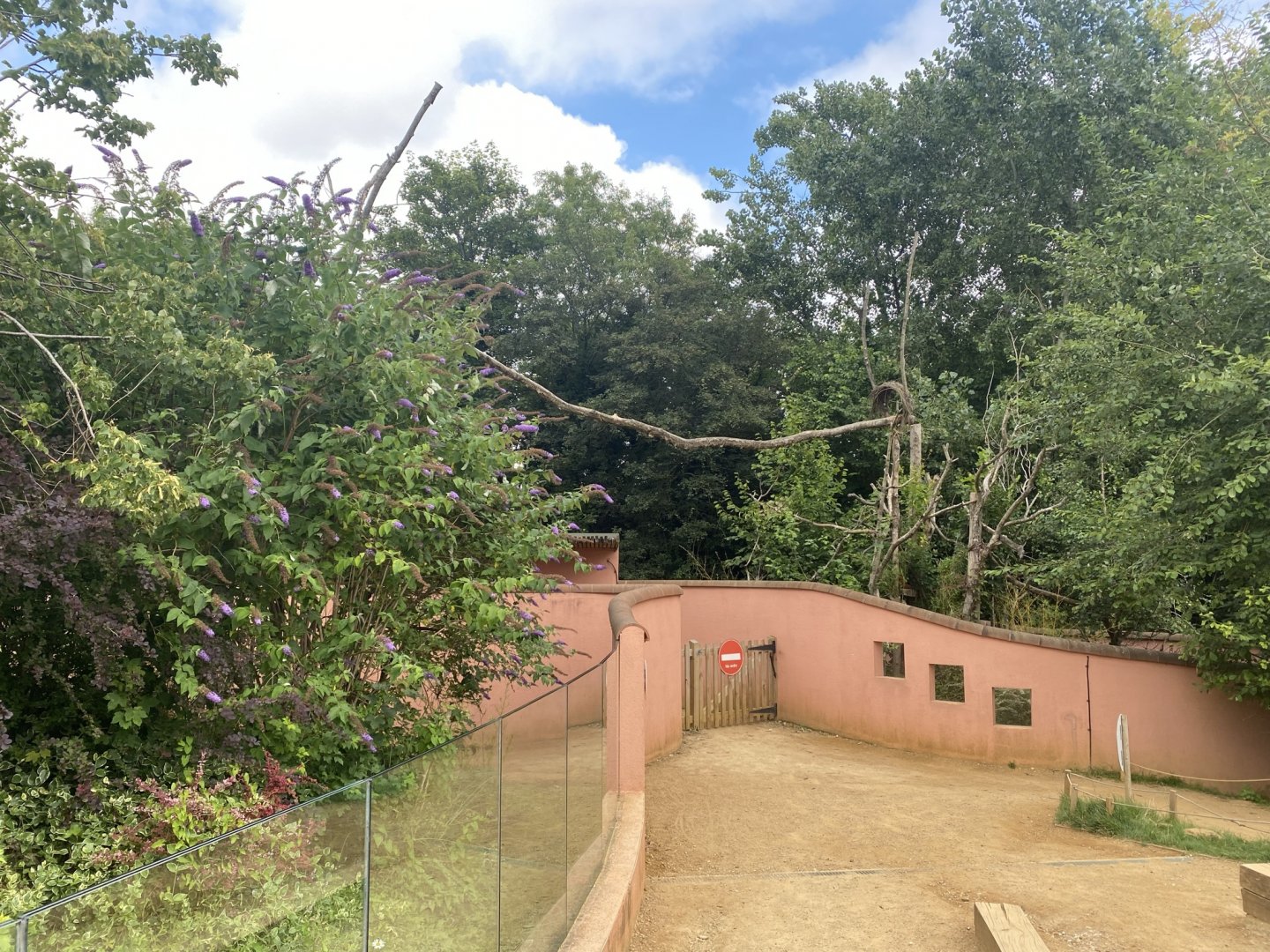 Red panda exhibit 120821