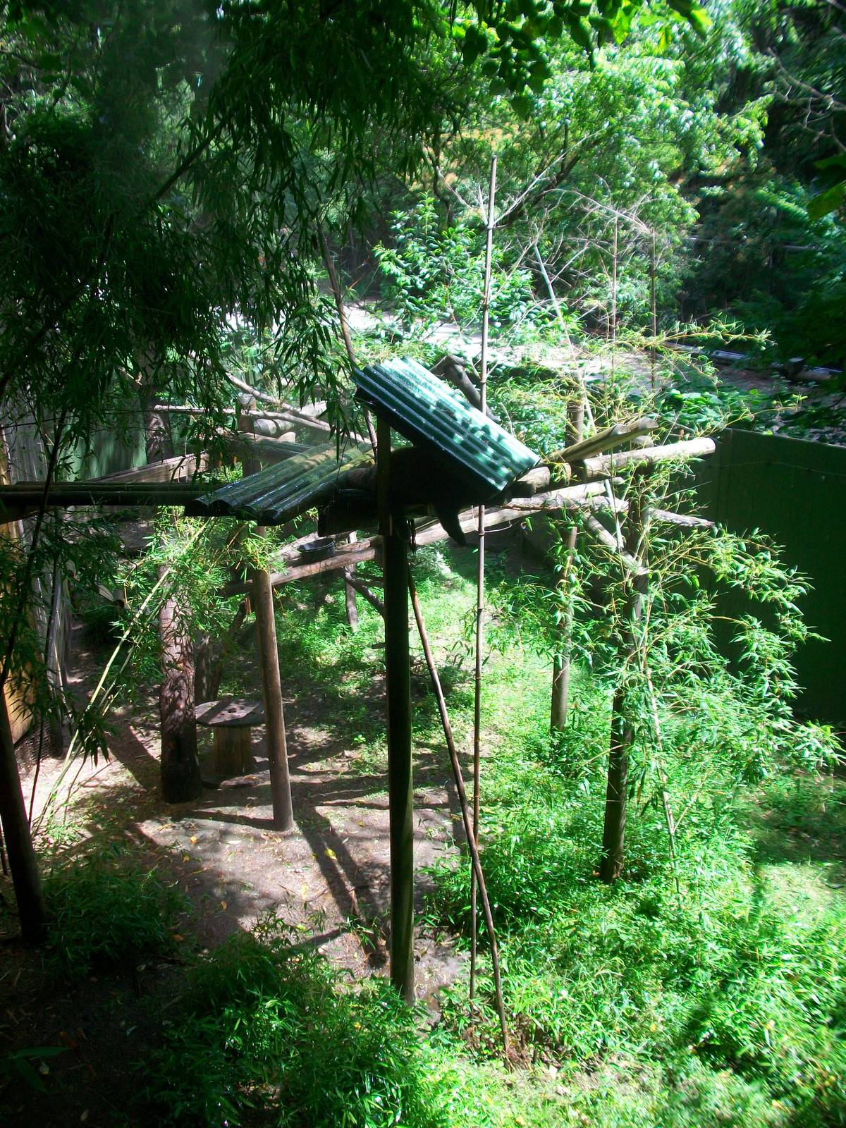 Red Panda Exhibit - 2009