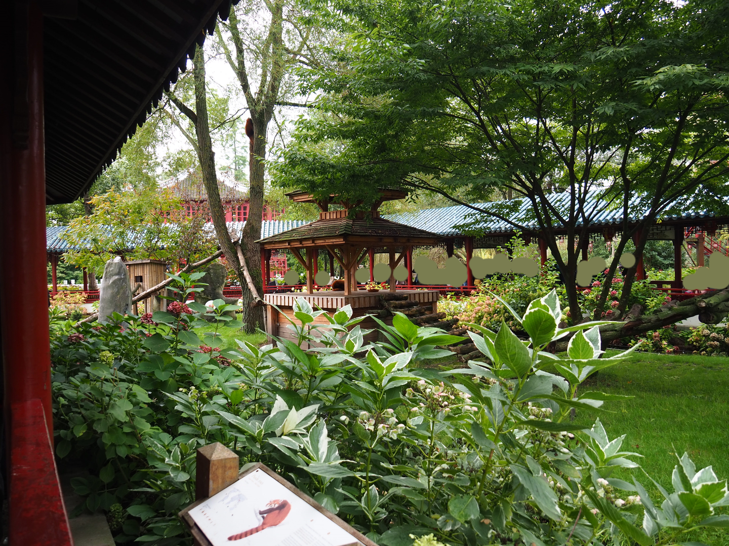 Red panda exhibit, 2019-10-05