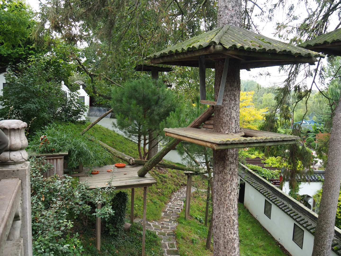 Red panda exhibit, 2019-10-05