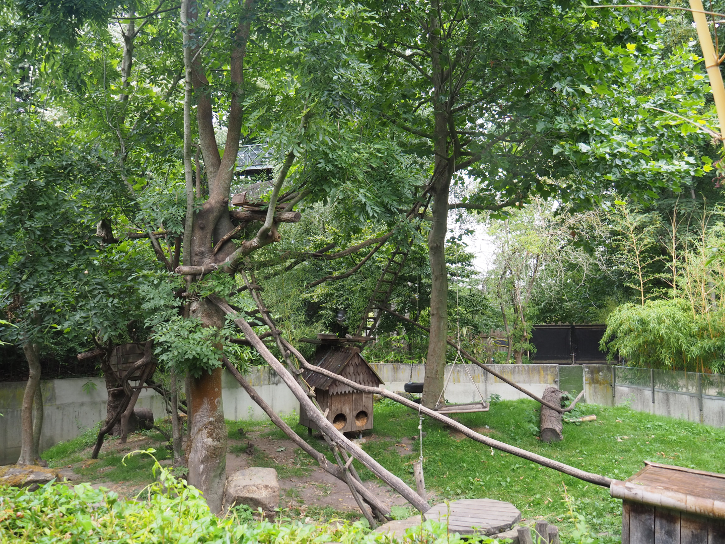 Red panda exhibit, 2020-07-14