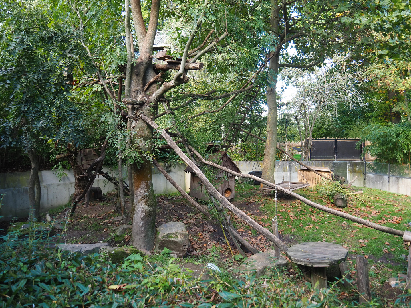 Red panda exhibit, 2020-10-10