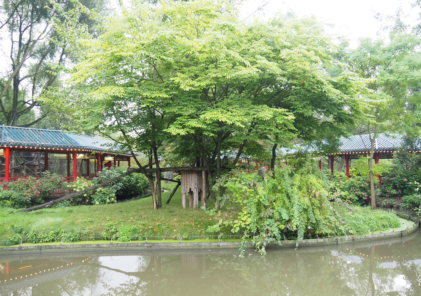 Red panda exhibit, 2022-09-15