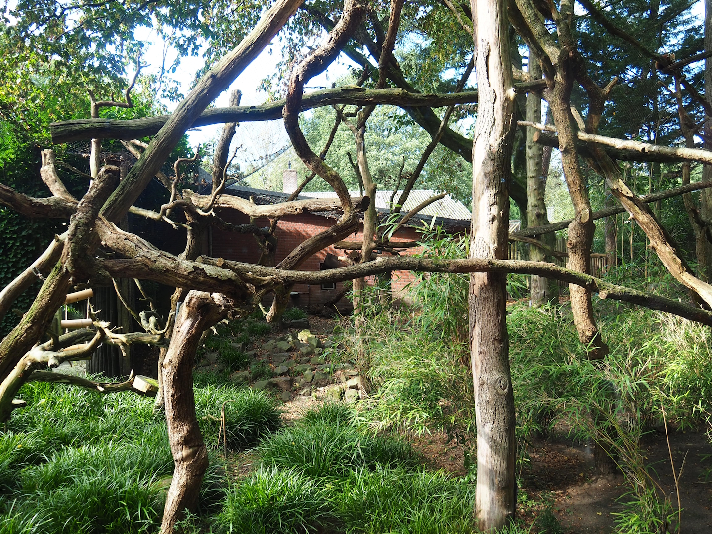 Red panda exhibit, 2023-09-24