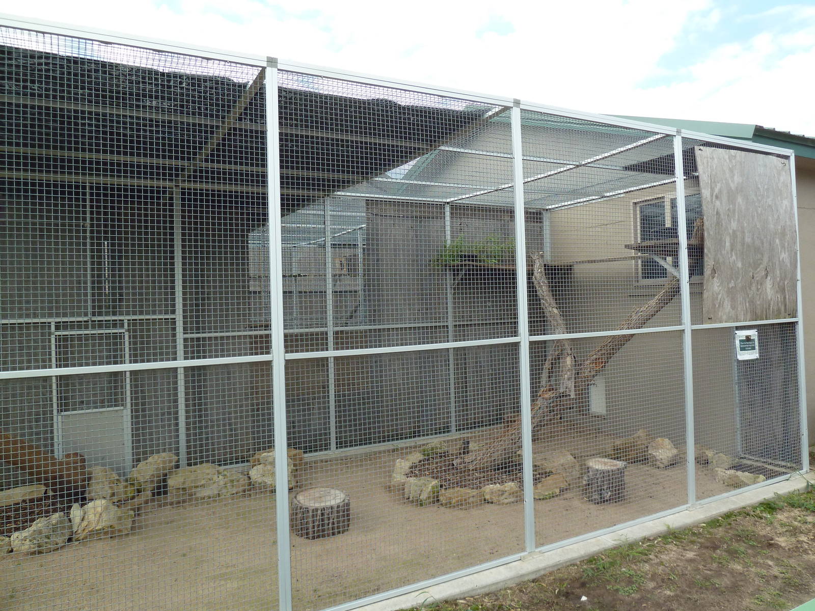 Red Panda Exhibit (an elderly specimen)