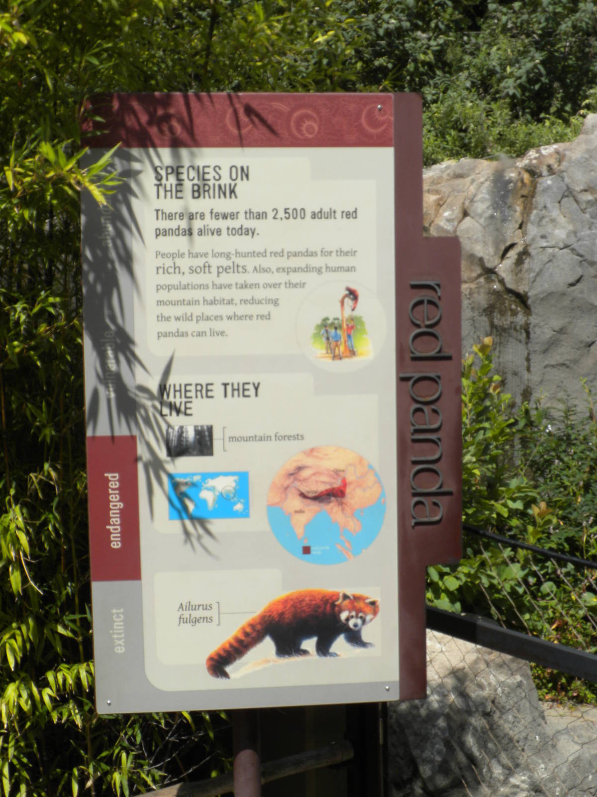 Red Panda Exhibit  [Asia Trail]