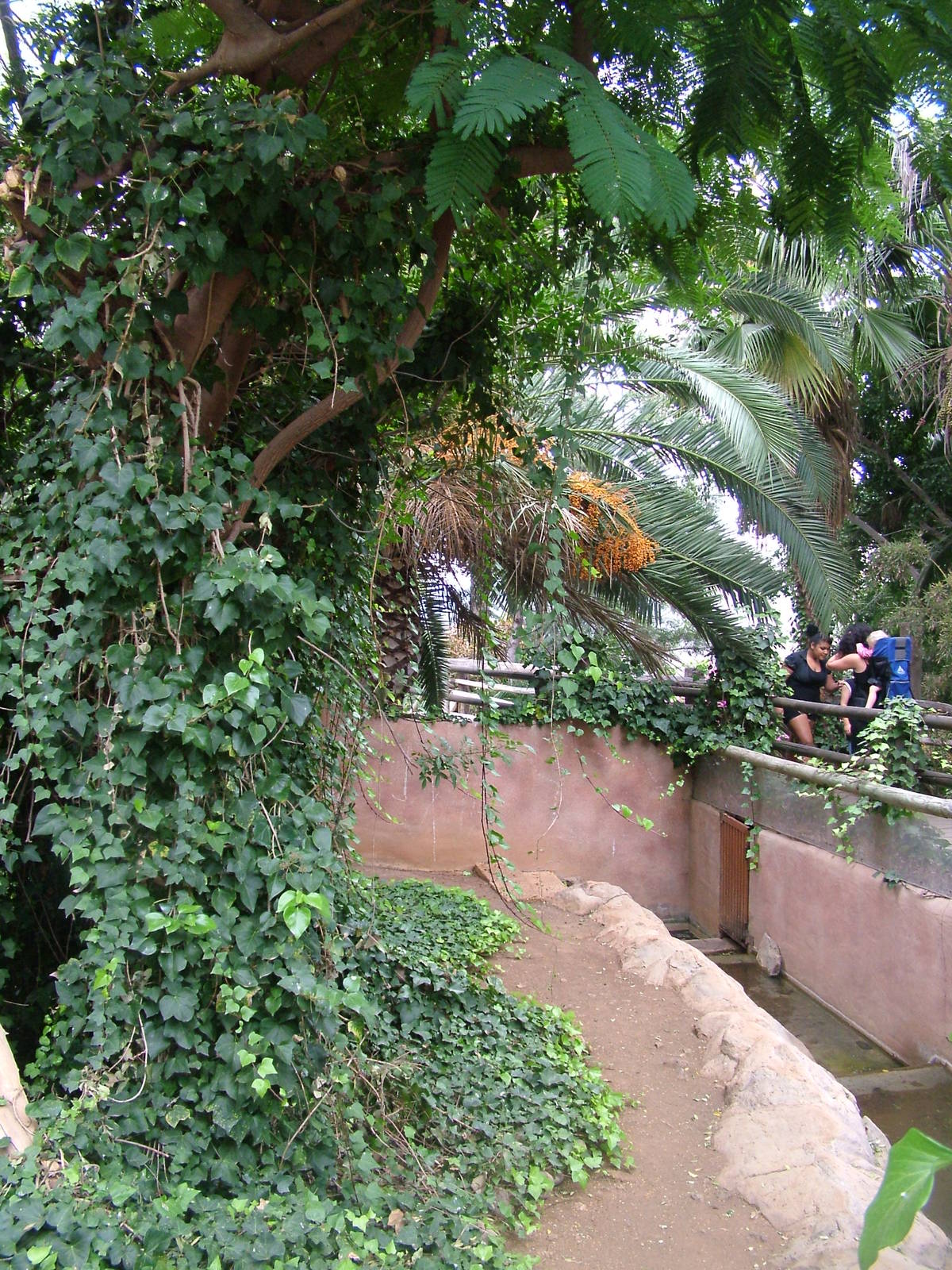 Red Panda Exhibit at Jungle Park (Las Aguilas), 13/11/10